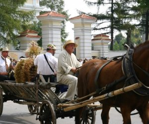 VII PODLASKIE ŚWIĘTO CHLEBA