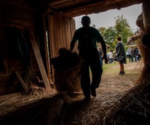 Jesień w polu i zagrodzie