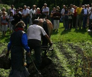 Wykopki w skansenie 2009