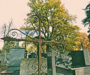 NIECOdziennik Muzealny - Ogrody Wiecznej Pamięci