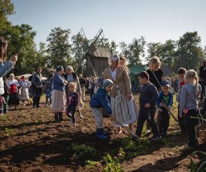 Jesień w polu i zagrodzie - fotorelacja