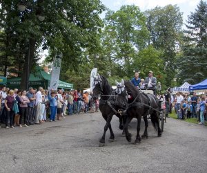 XVI Podlaskie Święto Chleba