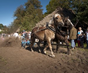 JESIEŃ W POLU I ZAGRODZIE w ramach Europejskich Dni Dziedzictwa 18 września 2016 r.