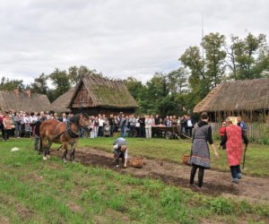 Wykopki w Skansenie