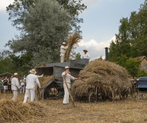 XXIII Podlaskie Święto Chleba - fotorelacja