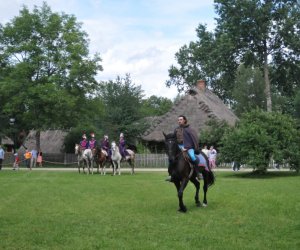 VIII Zajazd Wysokomazowiecki, 15.07.2012.