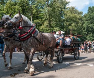 XIV Podlaskie Święto Chleba