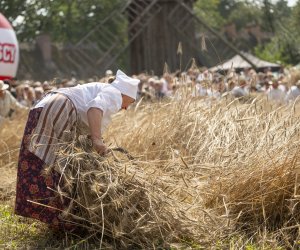 XXIII Podlaskie Święto Chleba - fotorelacja