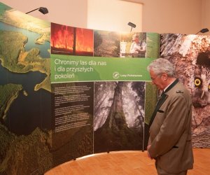 Jarmark Św. Wojciecha i Festyn Leśny 2014
