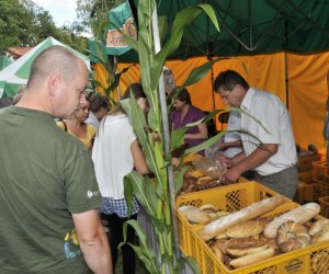 XII Podlaskie Święto Chleba, 12.08.2012 r.