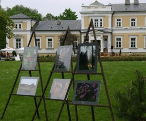Święto lasu