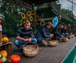 Jesień w polu i zagrodzie