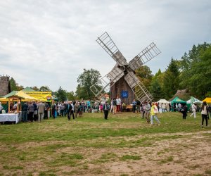 Jesień w polu i zagrodzie