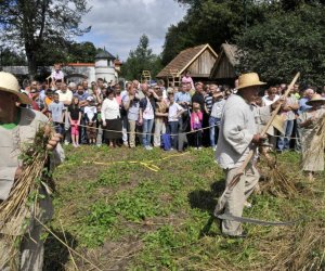 XII Podlaskie Święto Chleba, 12.08.2012 r.