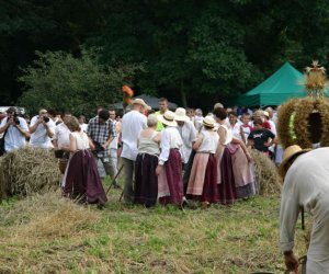 VII PODLASKIE ŚWIĘTO CHLEBA