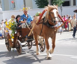 IX Podlaskie Święto Chleba
