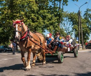 XV Podlaskie Święta Chleba w Muzeum Rolnictwa im. ks. Krzysztofa Kluka w Ciechanowcu