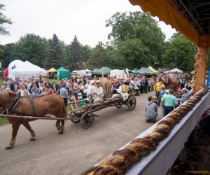 XVII Podlaskie Święto Chleba - fotorelacja