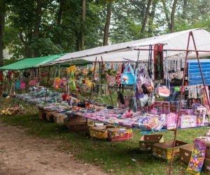 JESIEŃ W POLU I ZAGRODZIE