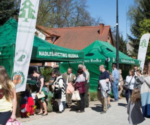 Jarmark św. Wojciecha 2018 - fotorelacja