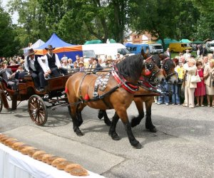 VIII PODLASKIE ŚWIĘTO CHLEBA