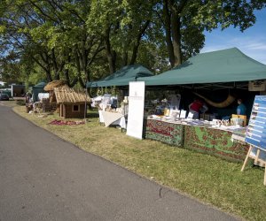 Piknik "Poznaj Zdrową Żywność" - fotorelacja