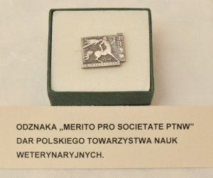 Wspomnień czar - podsumowanie roku jubileuszowego