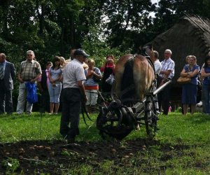 Wykopki w skansenie 2009