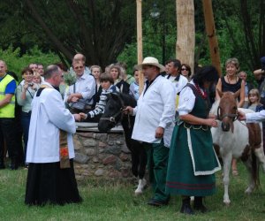 VIII PODLASKIE ŚWIĘTO CHLEBA