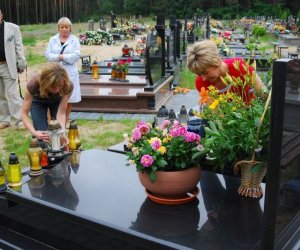 Rośliny lecznicze w kulturze, nauce i sztuce,