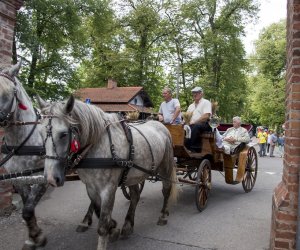 XVI Podlaskie Święto Chleba