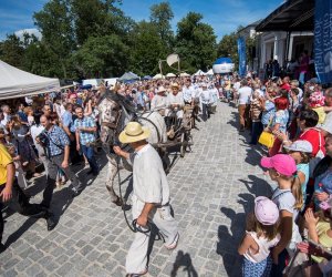 XVIII Podlaskie Święto Chleba - fotorelacja