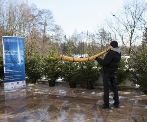 LIGAWKI 2016 - Fotorelacja z konkursu