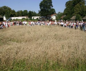 IX Podlaskie Święto Chleba