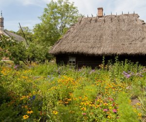 Konkurs fotograficzny "W skansenie"