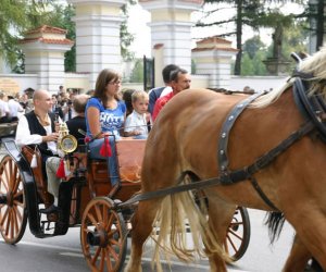 VII PODLASKIE ŚWIĘTO CHLEBA