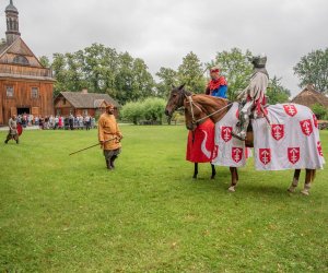 14 Zajazd Wysokomazowiecki - fotorelacja