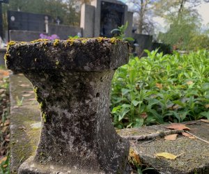 NIECOdziennik Muzealny - Ogrody Wiecznej Pamięci