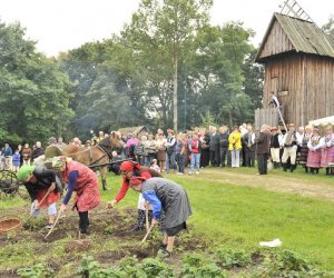 Wykopki w skansenie podsumowanie, fotorelacja.