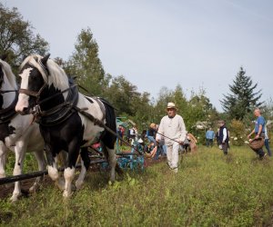 Impreza plenerowa - Jesień w Polu i Zagrodzie