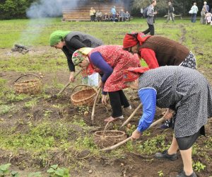 Wykopki w skansenie podsumowanie, fotorelacja.