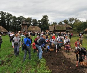 Wykopki w Skansenie
