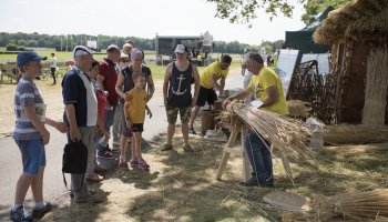 Piknik &quot;Poznaj Zdrową Żywność&quot; - fotorelacja