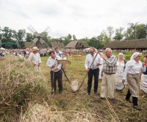 XVII Podlaskie Święto Chleba - fotorelacja