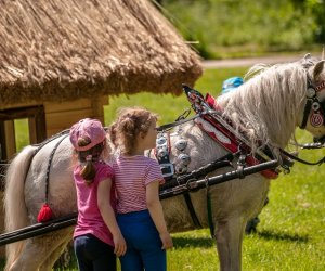 Dzień dziecka w Muzeum Rolnictwa