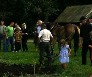 Wykopki w skansenie 2009