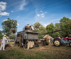 XVIII Podlaskie Święto Chleba - fotorelacja