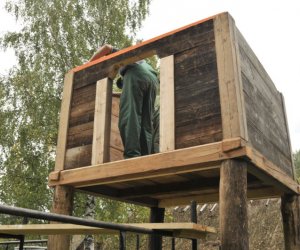 Rekonstrukcja sernika - zatraconego obiektu małej architektury