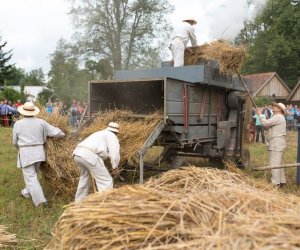 XVII Podlaskie Święto Chleba - fotorelacja