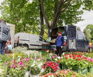 Jarmark Św. Wojciecha i Festyn Leśny 2014